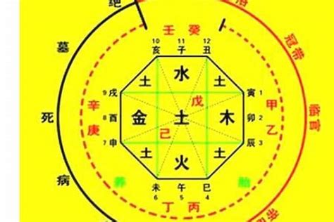 八字忌火|生辰八字算命、五行喜用神查询（免费测算）